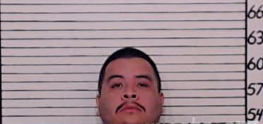 Hernandez Alex - Comal County, TX 