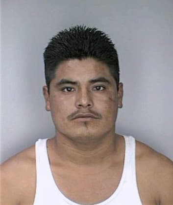 Hernandez Fermin - Hillsborough County, FL 