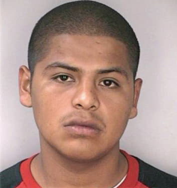 Espino Marcos - Hillsborough County, FL 