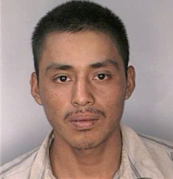 Garcia Andres - Hillsborough County, FL 