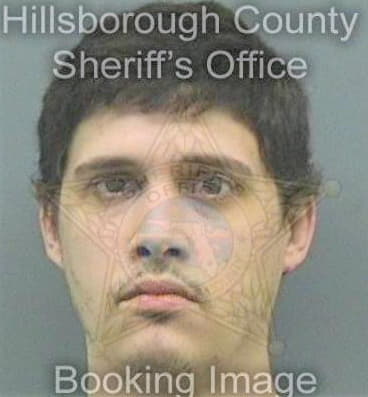 Ostrander David - Hillsborough County, FL 
