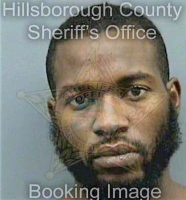Levy Derrick - Hillsborough County, FL 