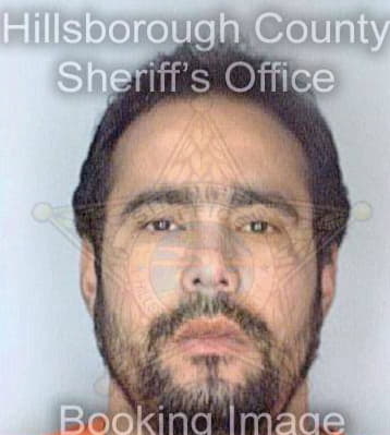 Deleon Eliu - Hillsborough County, FL 