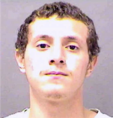 Jamison-Torres Michael - Mecklenburg County, NC 