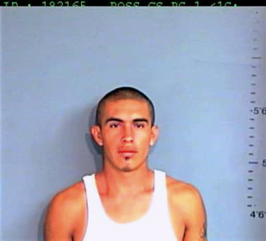 Diaz Raul - Brazos County, TX 