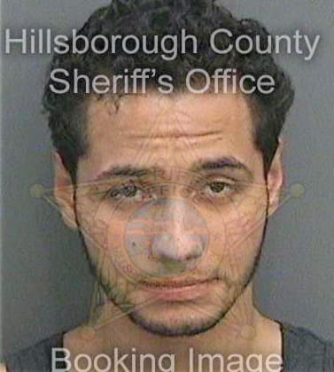 Torresrodriguez Rene - Hillsborough County, FL 