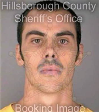 Hebert Erickson - Hillsborough County, FL 