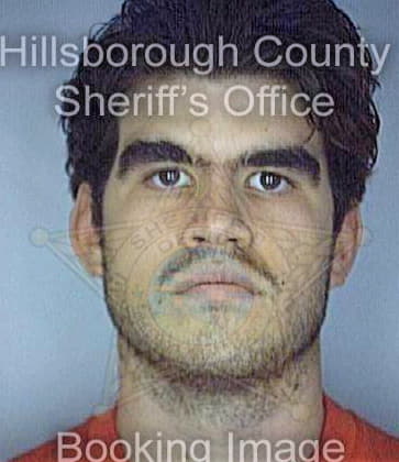 Price Jonathon - Hillsborough County, FL 