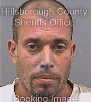 Saez Wilson - Hillsborough County, FL 