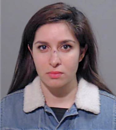 Gonzalez Arienne - Hidalgo County, TX 