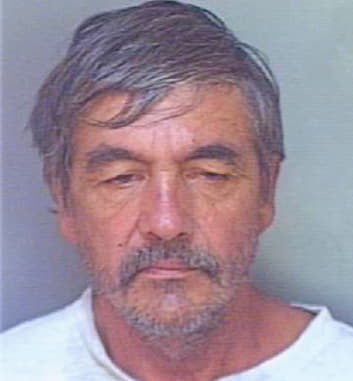Adkins Arthur - Polk County, FL 
