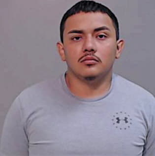 Trejo Daniel - Hidalgo County, TX 