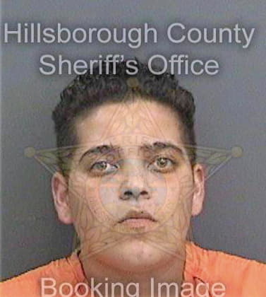 Santiago Yasmine - Hillsborough County, FL 