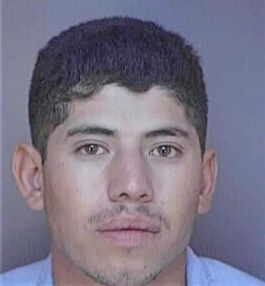 Reynoso Carlos - Polk County, FL 