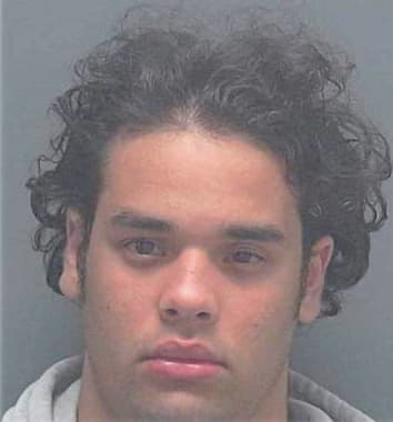 Boza-Martinez Jorge - Lee County, FL 