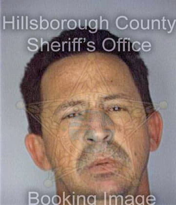 Gort Jorge - Hillsborough County, FL 