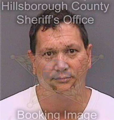 Fournier Matthew - Hillsborough County, FL 