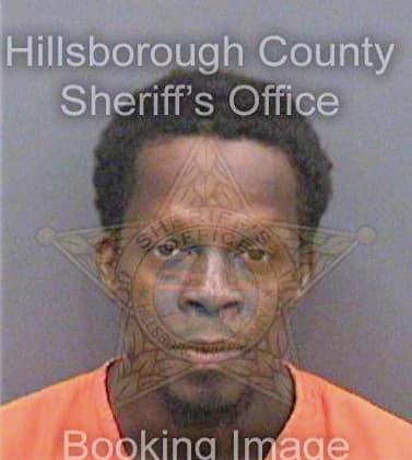 Williams Michael - Hillsborough County, FL 