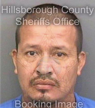 Garcia Rosaliano - Hillsborough County, FL 