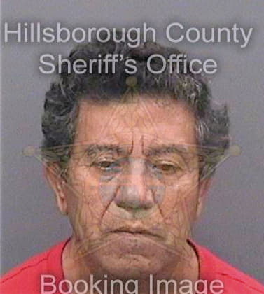 Gonzalez-Mendez Francisco - Hillsborough County, FL 