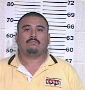 Hernandez Manuel - Hidalgo County, TX 