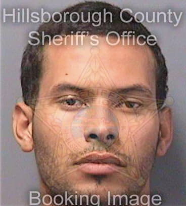 Rimblas Leonardo - Hillsborough County, FL 