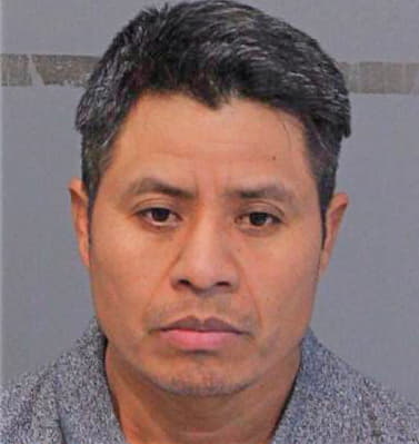 Mejia Pedro - Hamilton County, TN 