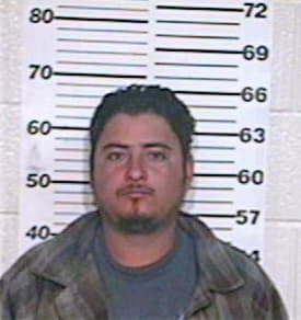 Mendez Angel - Hidalgo County, TX 