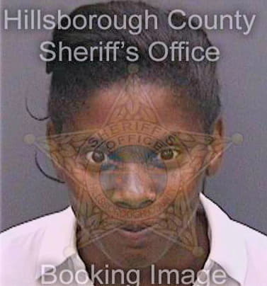 Goddard Avia - Hillsborough County, FL 