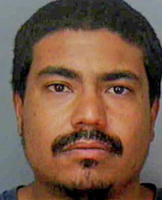 Torres Fernando - Polk County, FL 