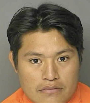 Cruz Luis - Horry County, SC 