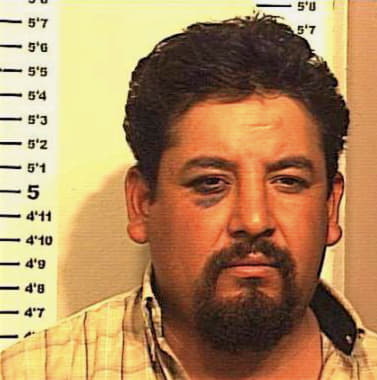 Torres Constantino - Denton County, TX 