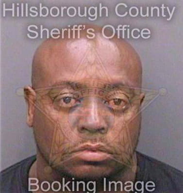 Mitchell David - Hillsborough County, FL 