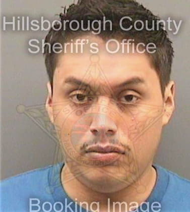 Martinez Efrain - Hillsborough County, FL 