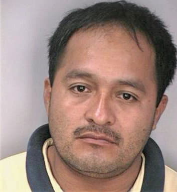 Ayala Franco - Hillsborough County, FL 
