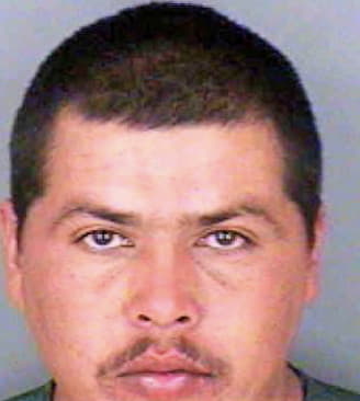 Armendariz Jaime - Collier County, FL 