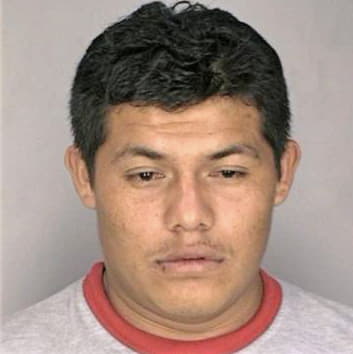 Lopez Lenin - Hillsborough County, FL 