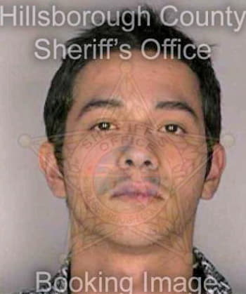Figueroa Reinaldo - Hillsborough County, FL 