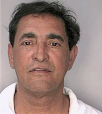 Santiago Efrain - Hillsborough County, FL 