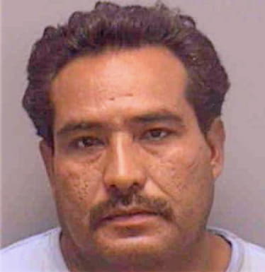 Lopez Miguel - Lee County, FL 