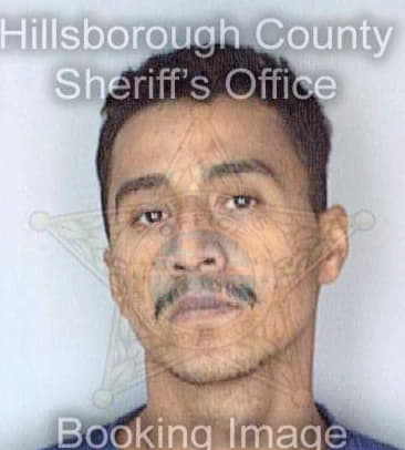 Brito Paul - Hillsborough County, FL 
