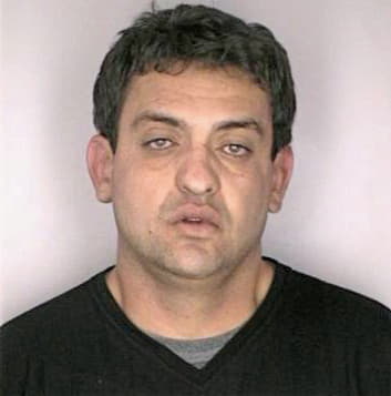 Velasquez Sergio - Hillsborough County, FL 