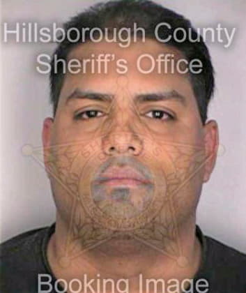 Cruz Henry - Hillsborough County, FL 