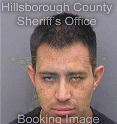 Mejiasanchez Carlos - Hillsborough County, FL 