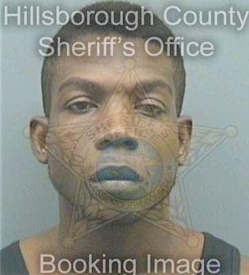 Levy Erik - Hillsborough County, FL 