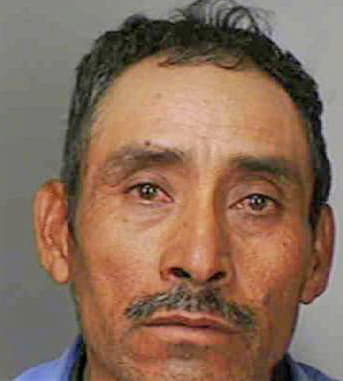 Bravo-Eligio Angel - Polk County, FL 
