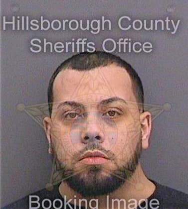 Floresvicente David - Hillsborough County, FL 