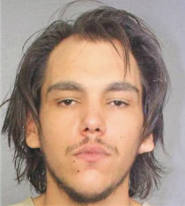 Mcgowan Dylan - Broward County, FL 