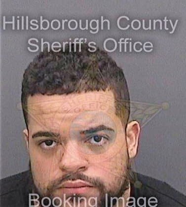 Thayer Joshua - Hillsborough County, FL 