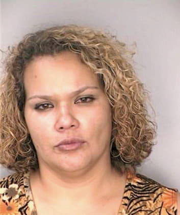 Gonzalez Nancy - Hillsborough County, FL 
